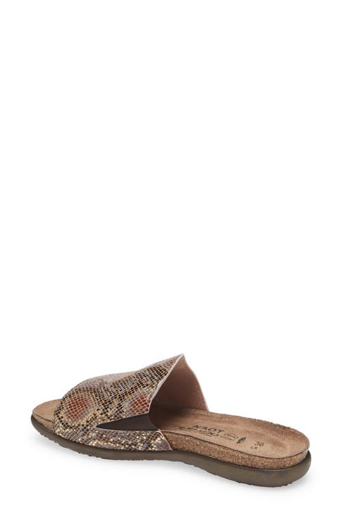 Naot Skylar Slide Sandal In Golden Python Leather
