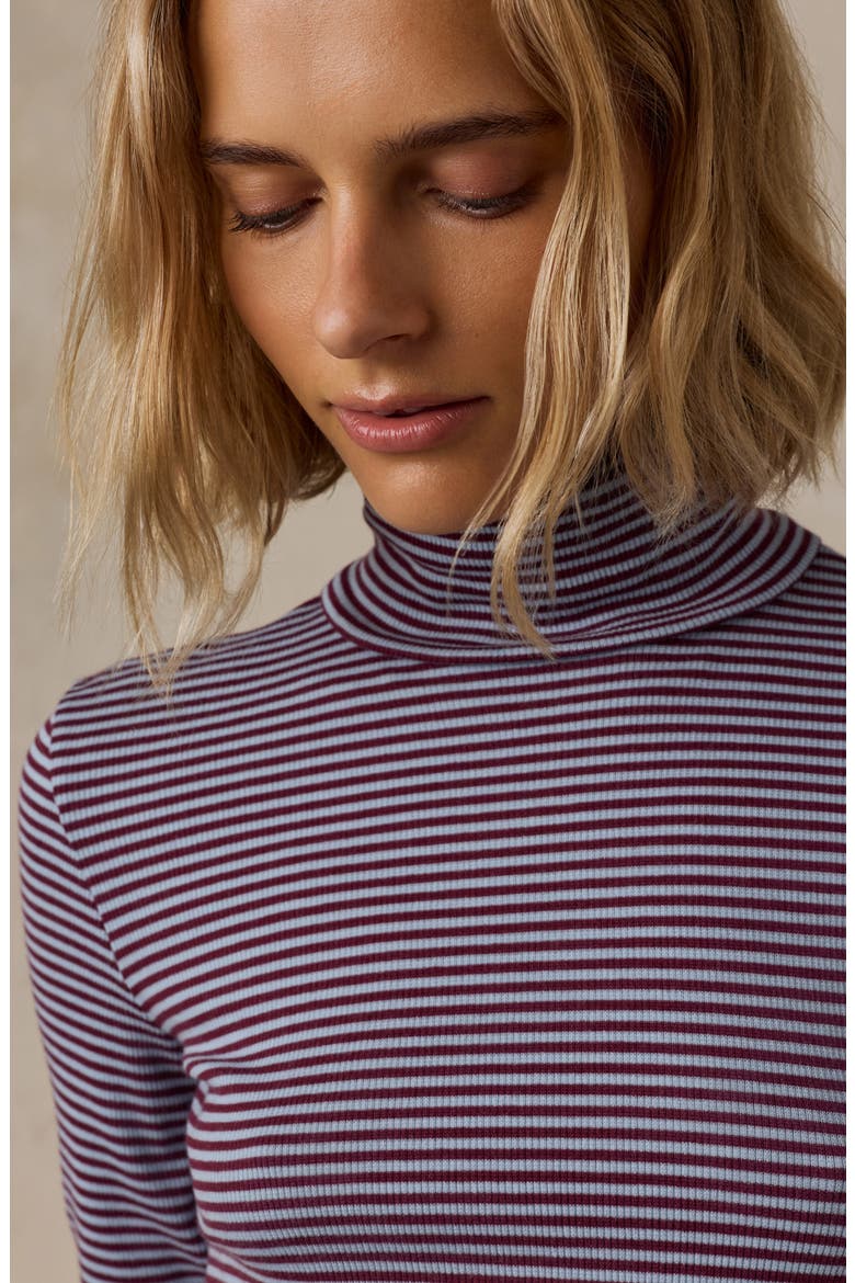 Featherweight Freestyle Turtleneck Top, Alternate, color, CIDER SKY STRIPE