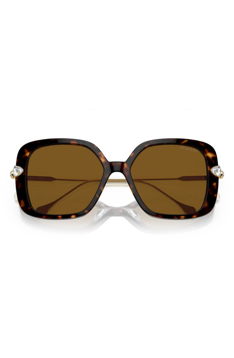 Swarovski 56mm Polarized Square Sunglasses, Alternate, color, Havana