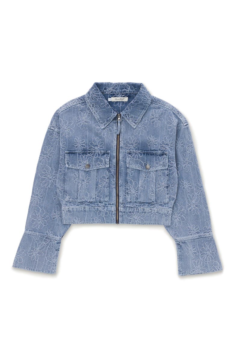 Crop Denim Jacket, Main, color, LIGHT BLUE