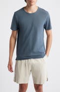 ALEX CRANE Organic Cotton Crewneck T-Shirt