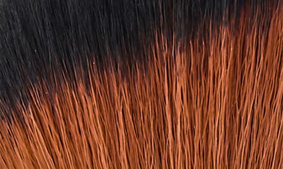 selected BROWN