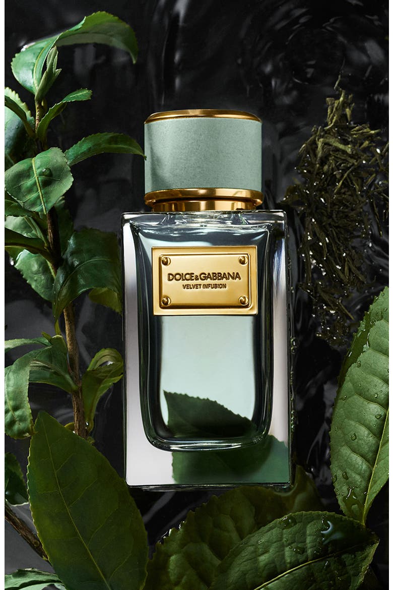 Velvet Infusion Eau de Parfum, Alternate, color, NO COLOR