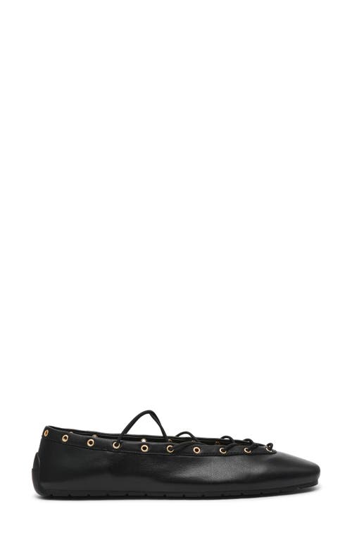 Steve Madden Pointe Ballet Flat