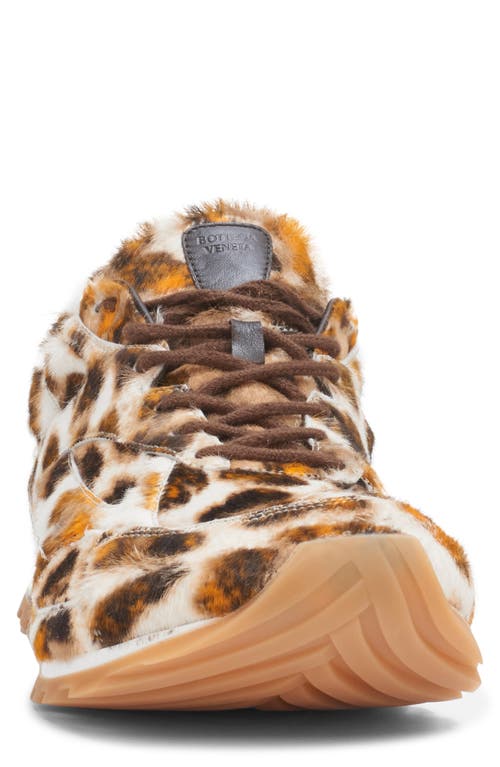 Bottega Veneta Orbit Sneaker In 2729 Jaguar