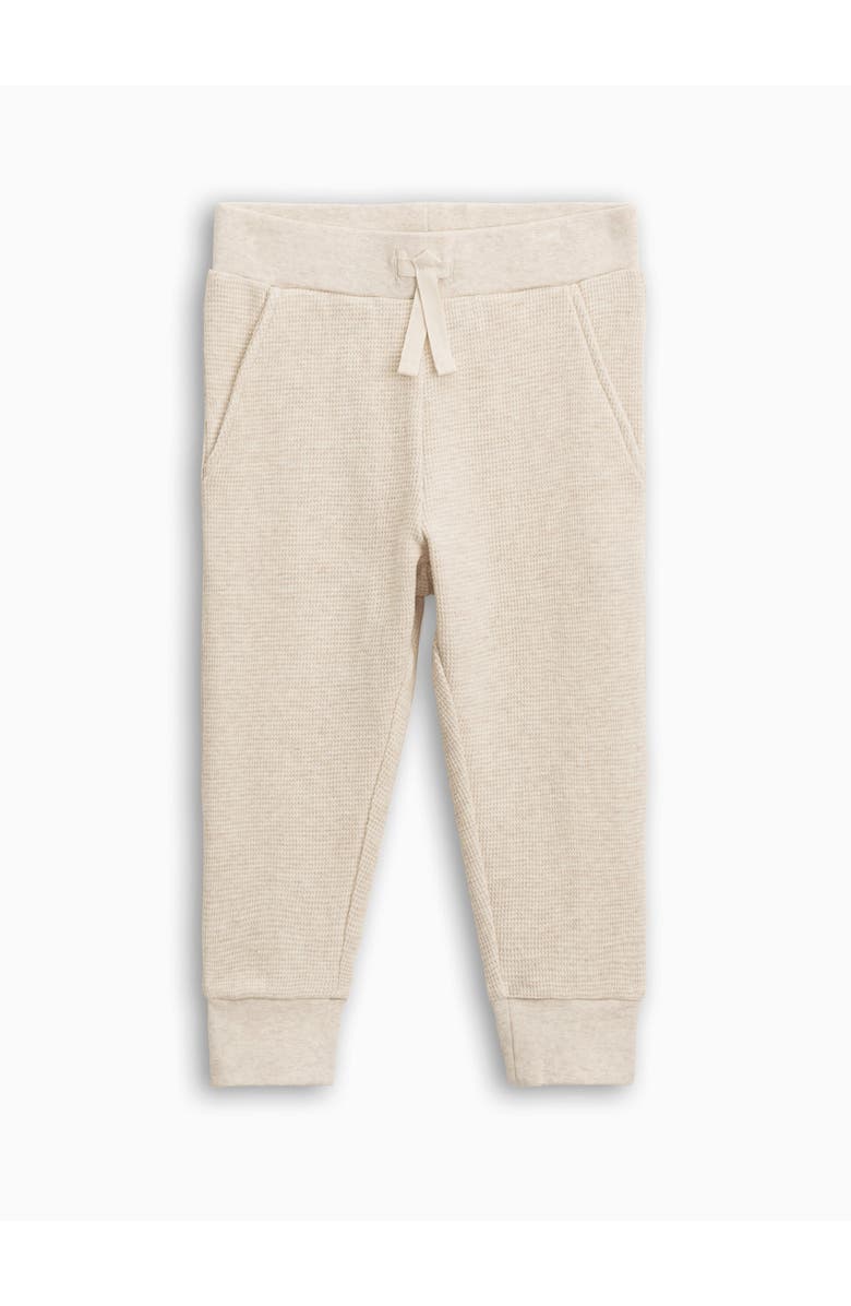 Kendi Nelson Waffle Knit Jogger, Main, color, Heather Oat