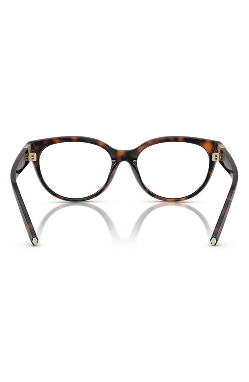 Tiffany & Co . 52mm Cat Eye Optical Glasses In Havana