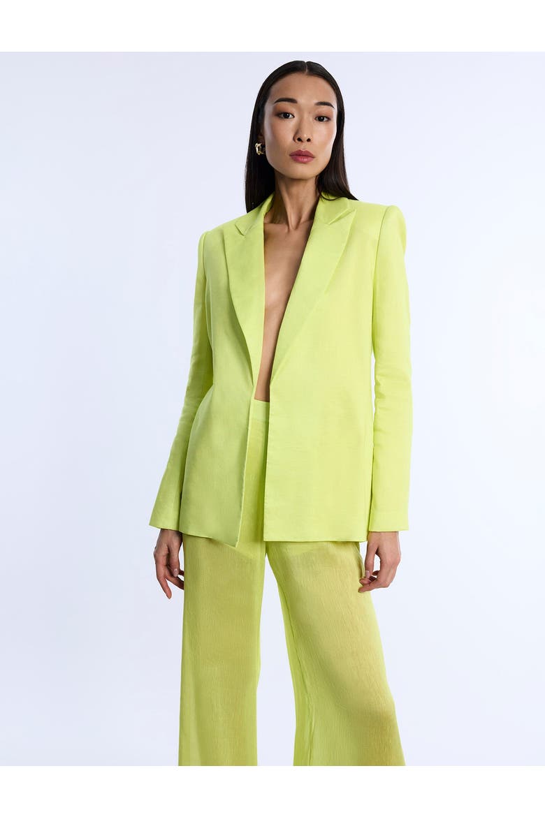 Airy Textured Blazer, Main, color, Chartreuse