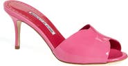 Manolo Blahnik Horamu Open Toe Sandal