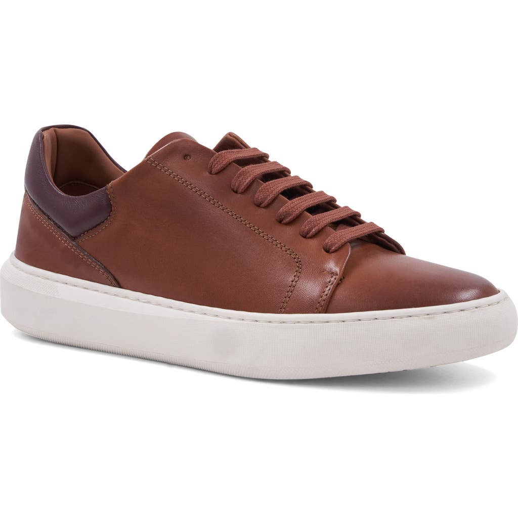 Bruno Magli Salvatore Sneaker In Cognac