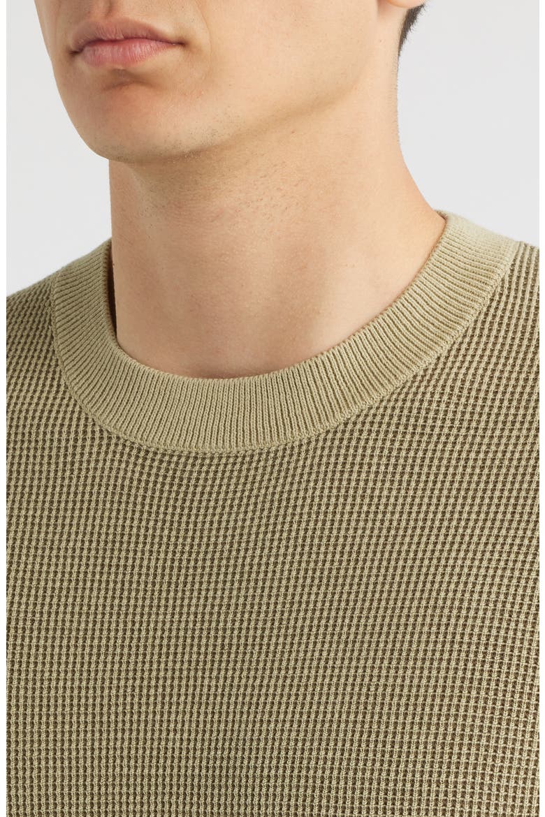 Leale Short Sleeve Cotton Crewneck Sweater, Alternate, color, BEIGE/ KHAKI
