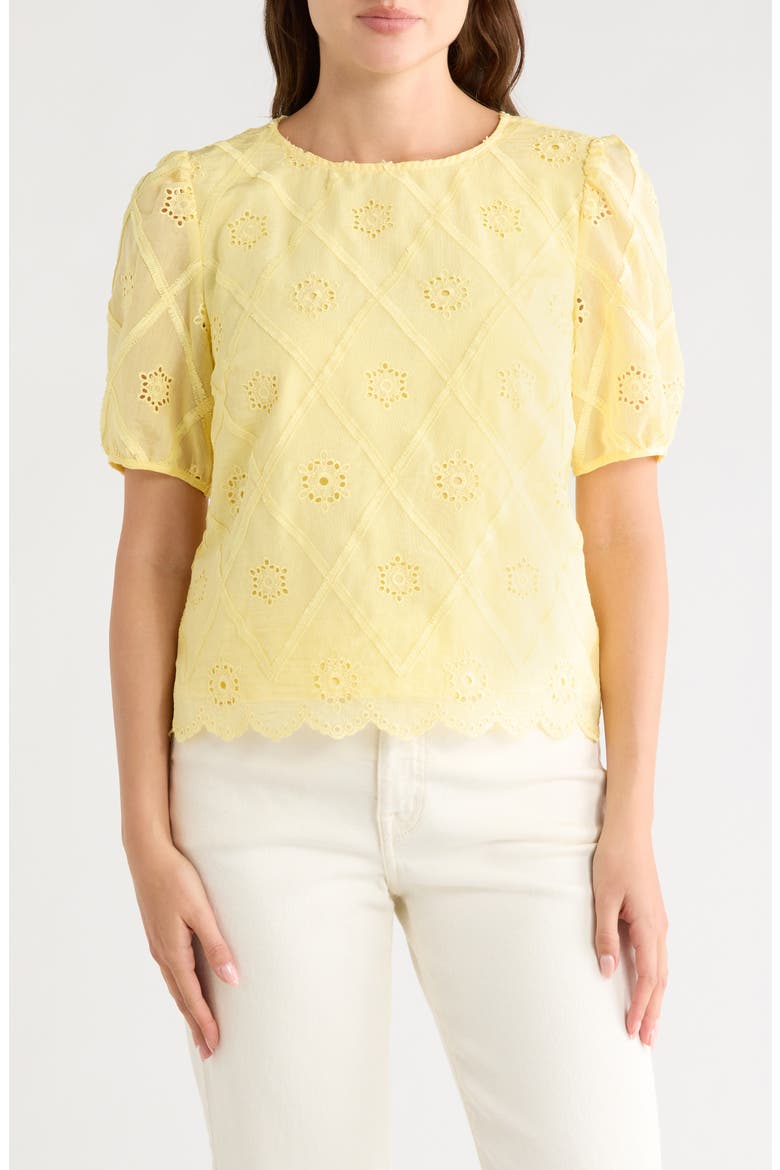 Embroidered Eyelet Short Sleeve Top, Main, color, YELLOW