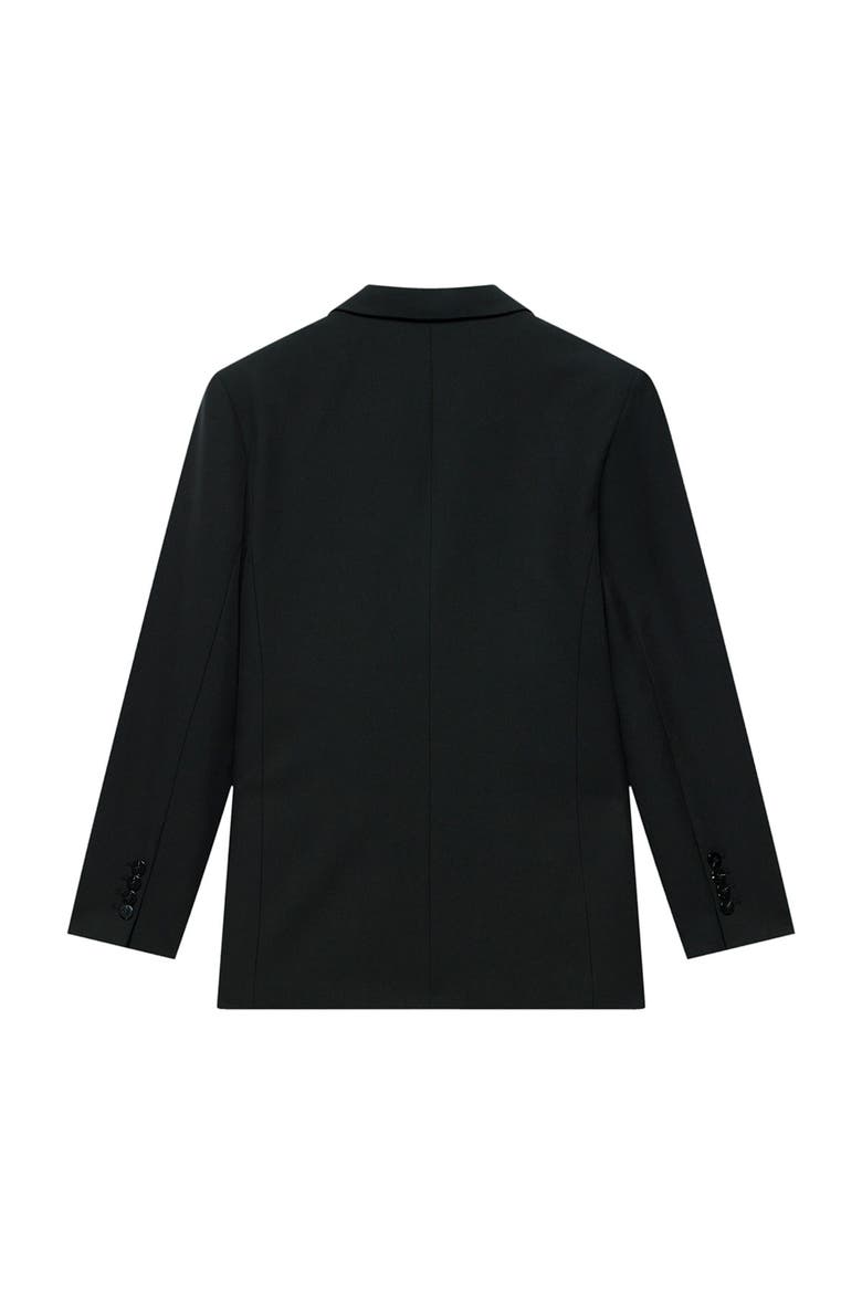 Single Breasted Long Sleeve Blazer, Alternate, color, Black