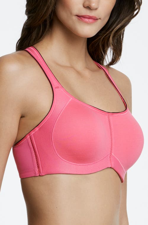 Dominique Intimates Zoe Pro Max High Impact Convertible Racerback T-strap Bra In Pink