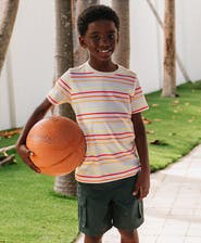 Lands' End Boys Short Sleeve Stripe Crewneck Tee