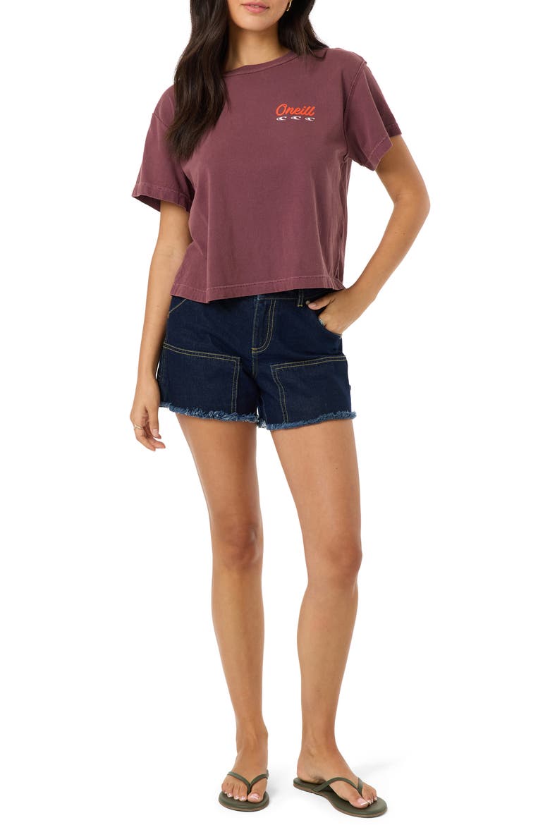 Lefty Boxy Graphic Tee, Alternate, color, FIG