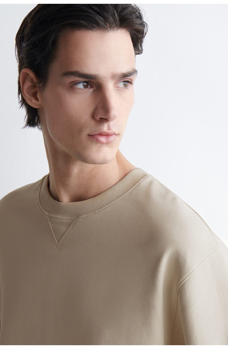 COS Oversized Short-Sleeved Cotton Sweatshirt, Alternate, color, Light Beige
