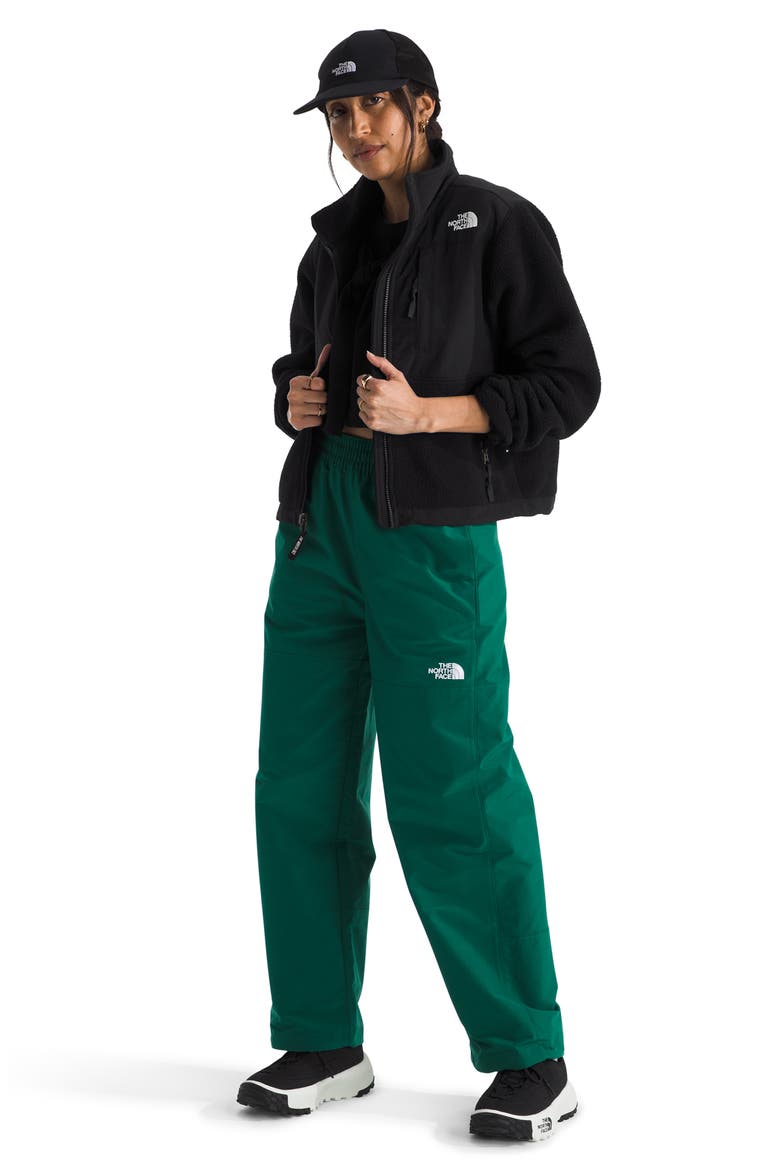 Retro Denali Jacket, Alternate, color, TNF BLACK