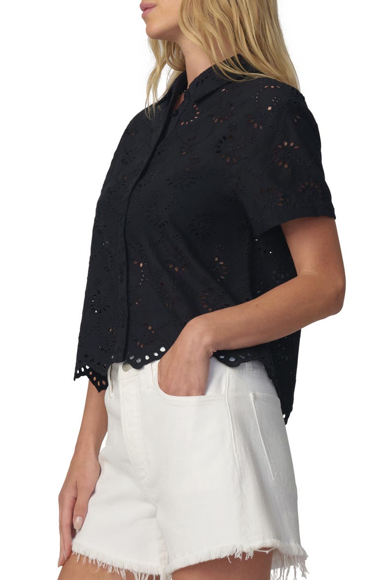 Sheer Crop Cotton Broderie Anglaise Button-Up Shirt, Alternate, color, BLACK