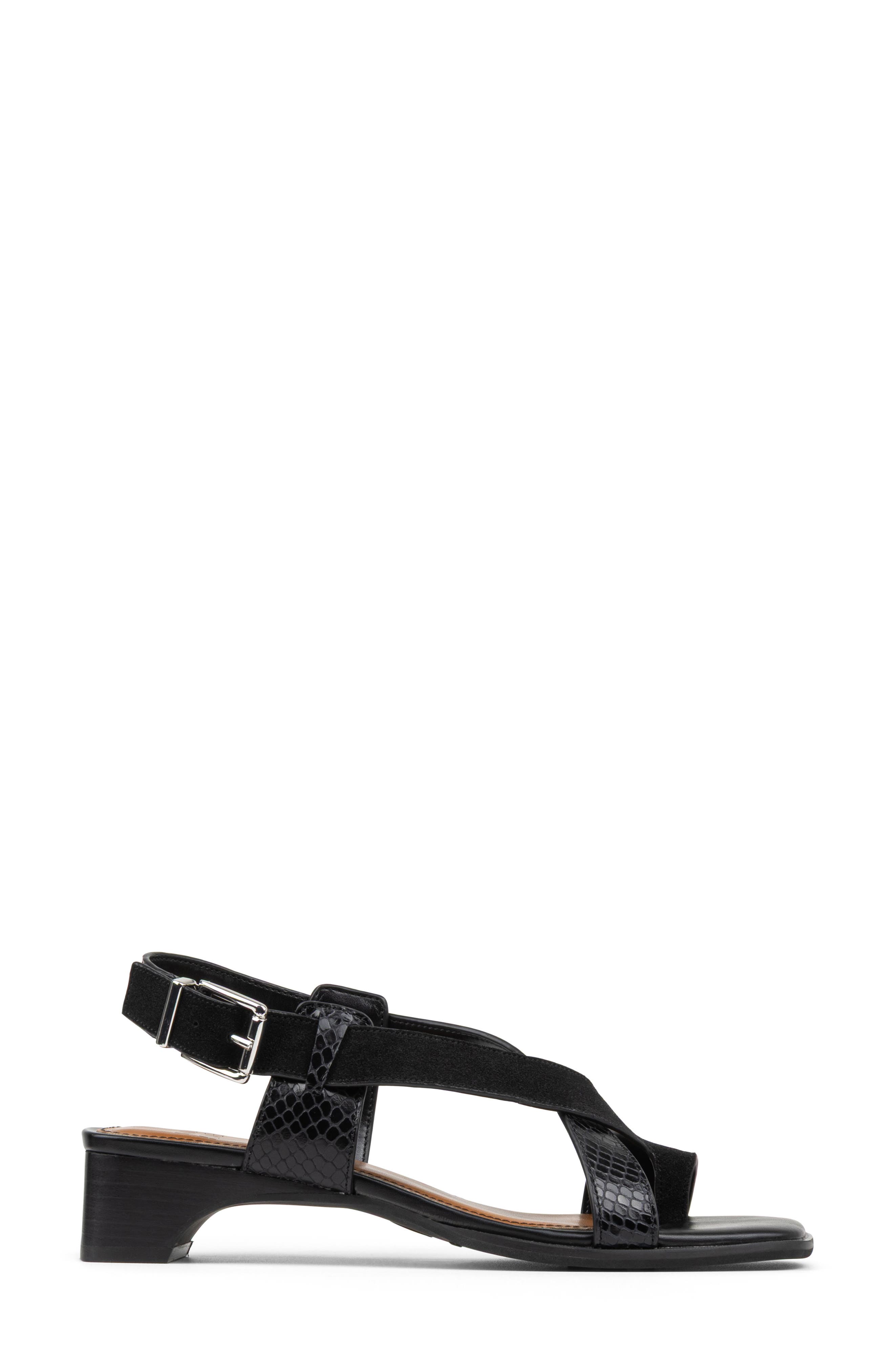 Donald Pliner Charita Toe Loop Sandal, Alternate, color, Black