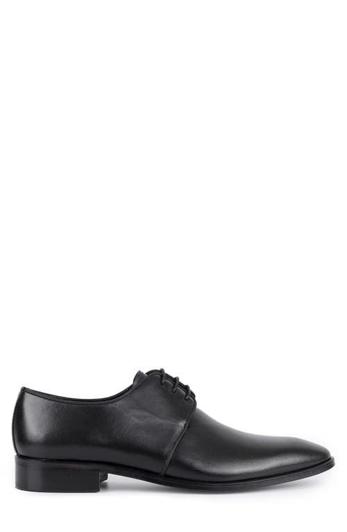 Vellapais Costa Plain Toe Derby In Black