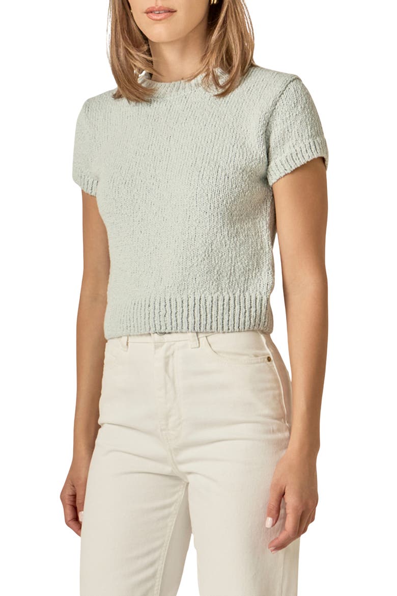 Rib Trim Short Sleeve Knit Top, Alternate, color, ICY BLUE