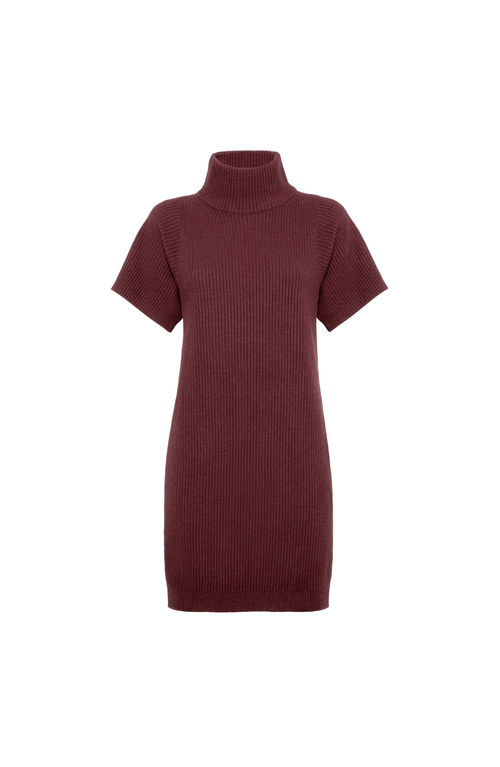 Brunello Cucinelli Ribbed Turtleneck Mini Dress In Red
