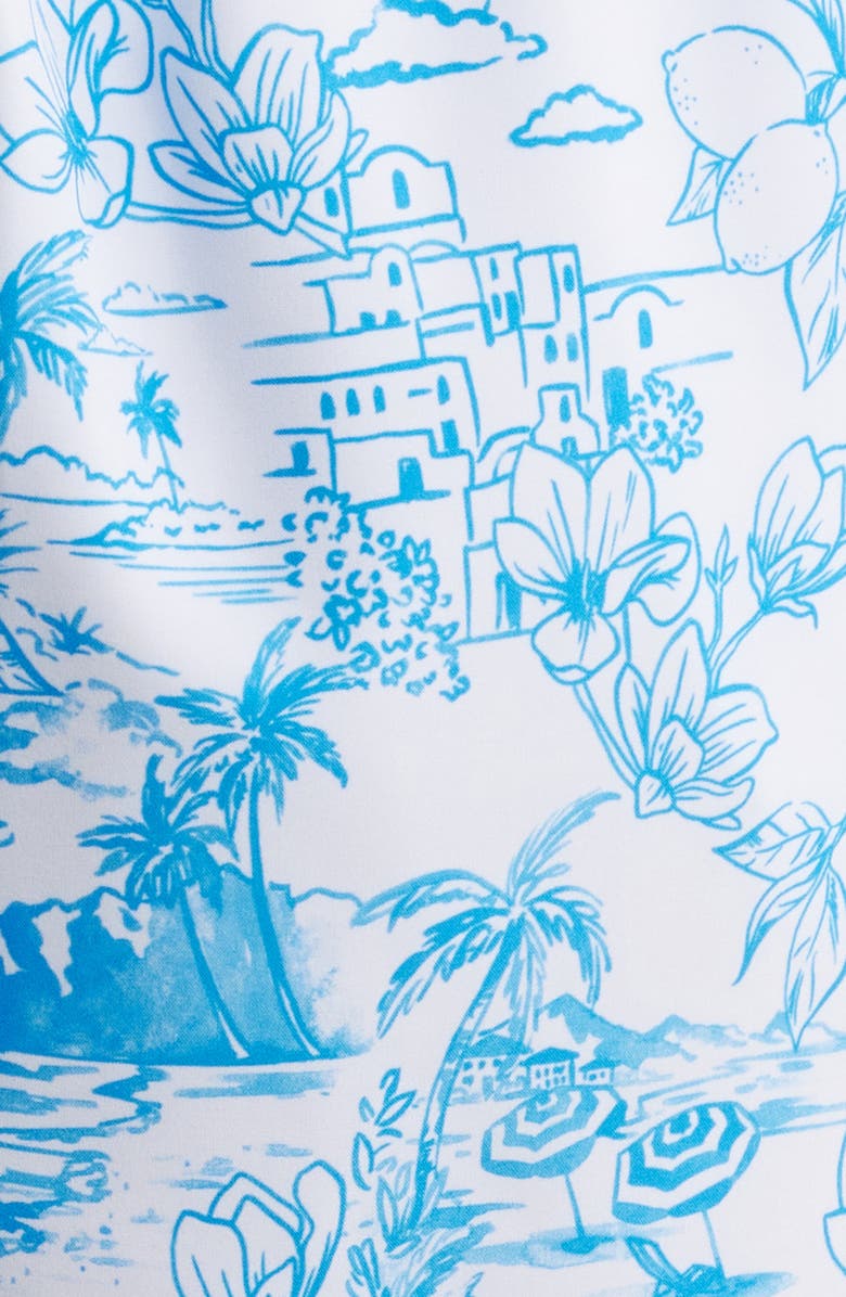 Vintage Summer Volley Swim Trunks, Alternate, color, Blue