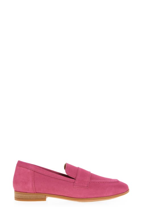 Cordani Ardelle Moc Toe Loafer In Fuschia Suede