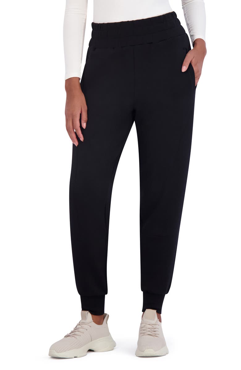 SAGE COLLECTIVE High Waist Joggers, Main, color,