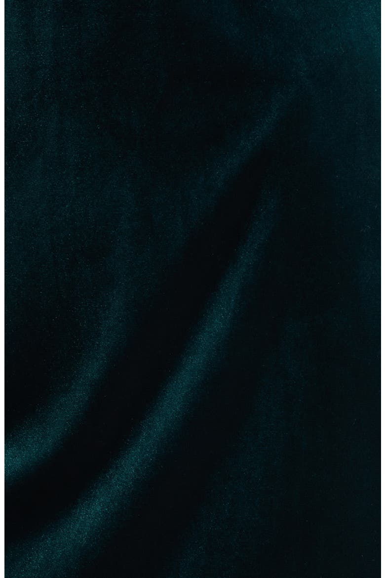 Long Chiffon Sleeve Velvet Dress, Alternate, color, HUNTER