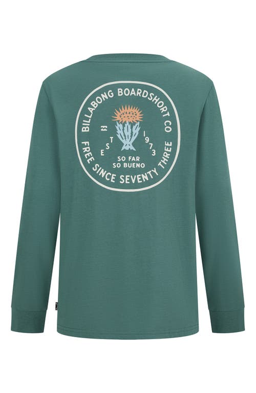Billabong Kids' Desert Rose Long Sleeve Graphic T-shirt In Green