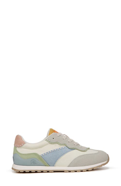 Blowfish Malibu Valley Sneaker In Multi Fabric