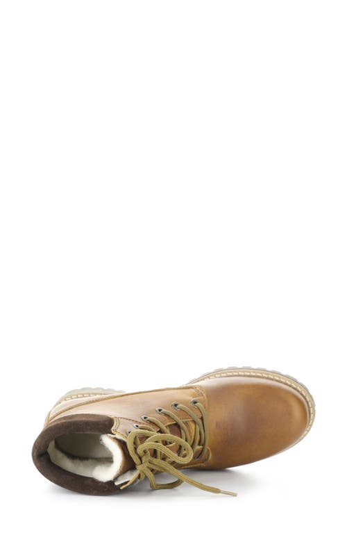 Bos. & Co. Hartt Waterproof Boot In Brown