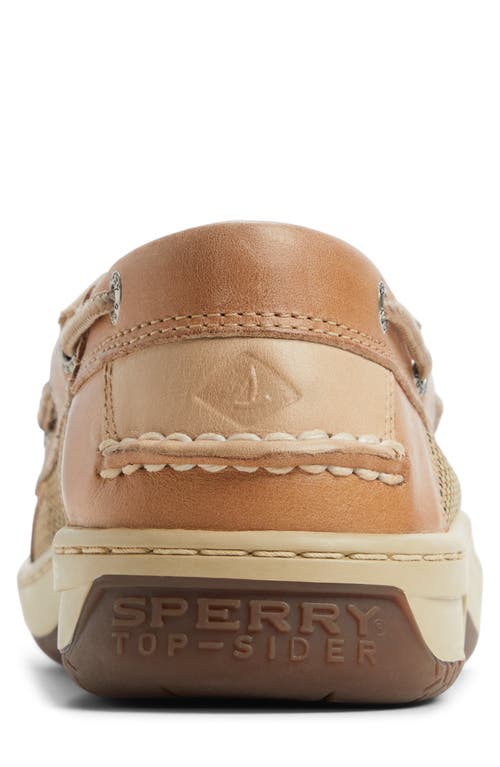 SPERRY SPERRY BILLFISH 3-EYE BOAT SHOE