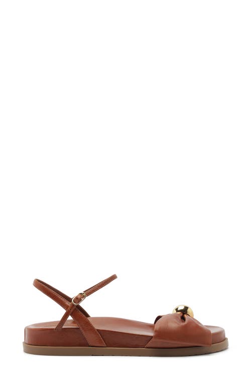 Arezzo Rayna Ankle Strap Sandal In Brown