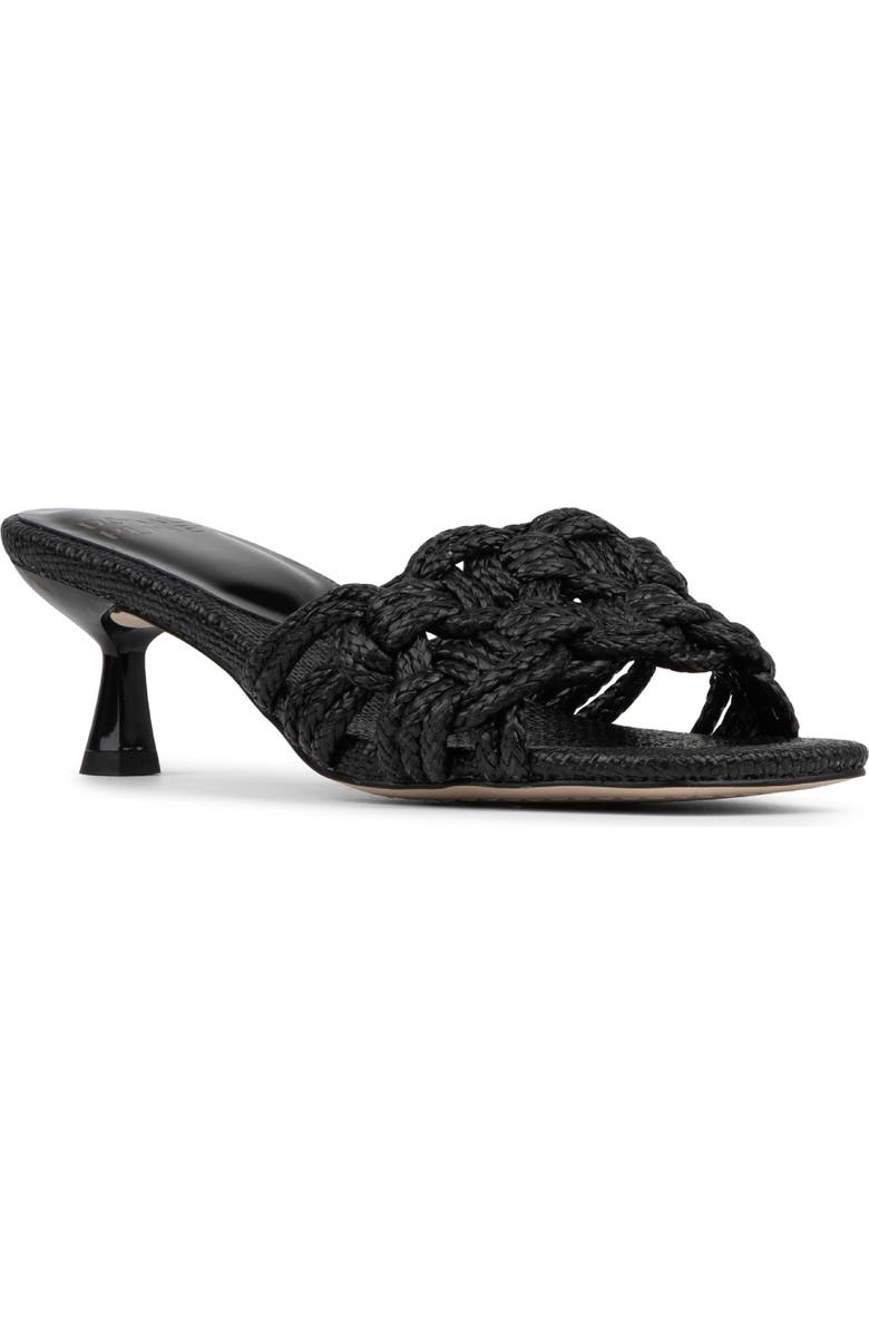 Donald Pliner Raffia Kitten Heel Slide Sandal, Main, color, Black