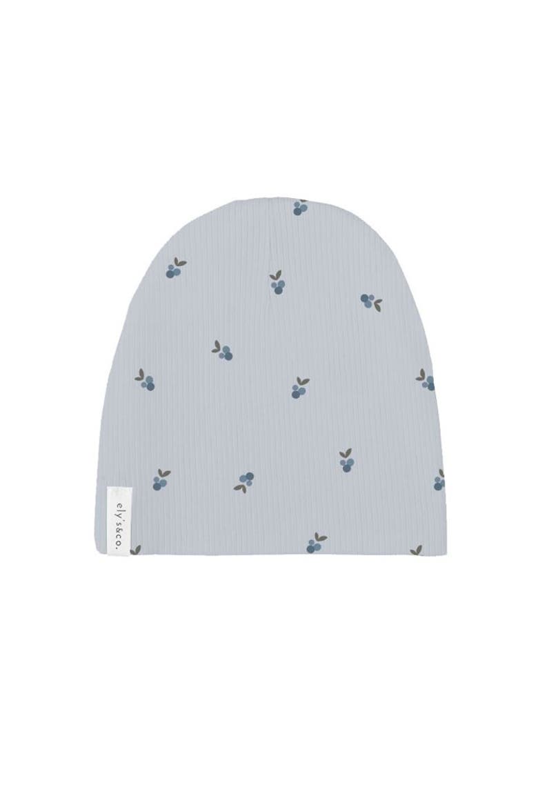 Baby Cotton Ribbed Beanie, Main, color, Blue/Blue Berry