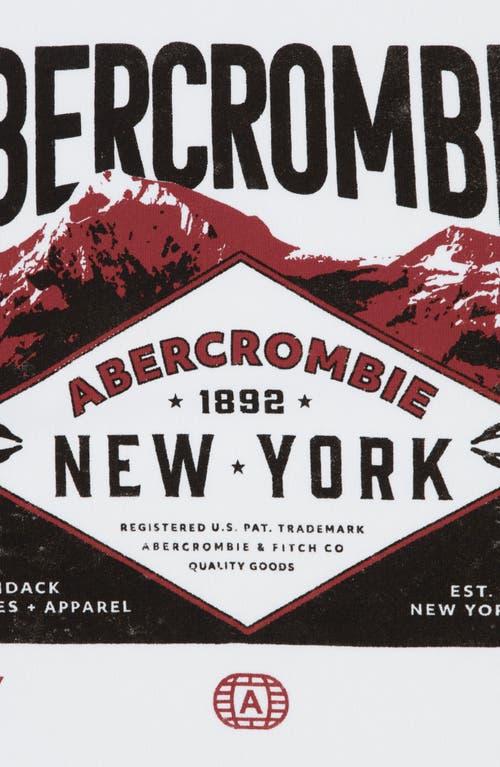 Abercrombie Kids Kids' Adirondacks Cotton Graphic T-shirt In White