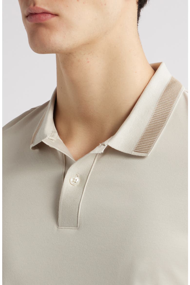 Pleins Long Sleeve Polo, Alternate, color, WHITE