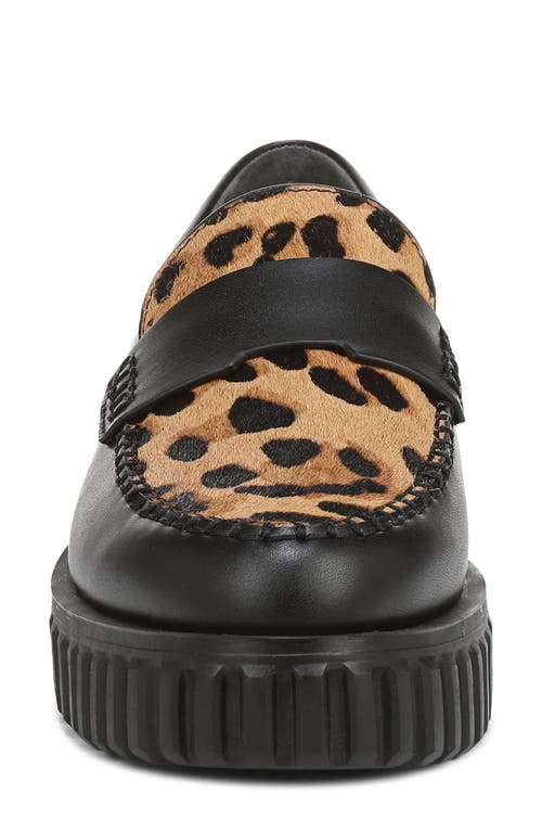 Franco Sarto Flx Roma Platform Loafer In Brown