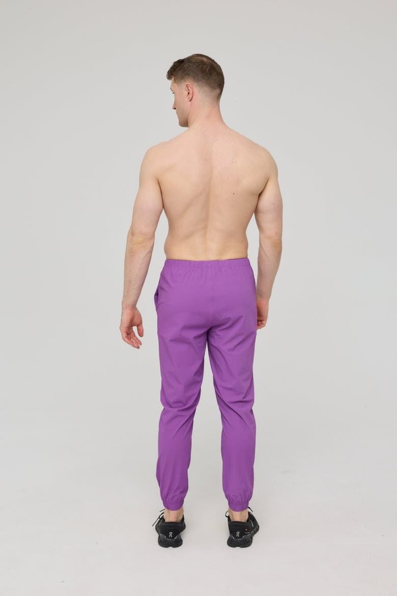Elite Everyday Activewear Joggers - Purple, Alternate, color, Purple