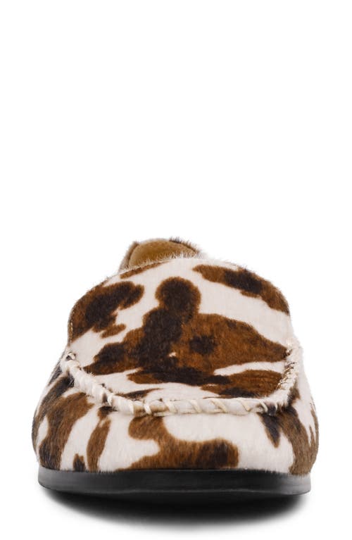 Dolce Vita Dv By  Maxon Loafer In Brown