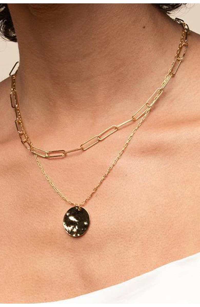Bearfruit Jewelry 14k Gold Plated Roth Layered Necklace Trendy Everyday Minimalist, Alternate, color, Gold