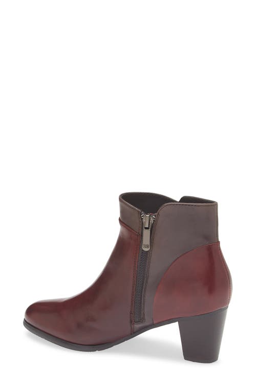 Regarde Le Ciel Sonia Bootie In Brown