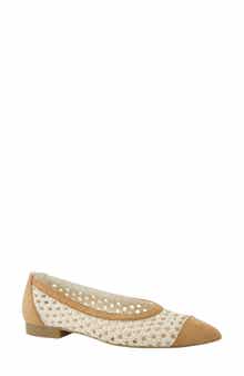 Daisy Pointed Toe Flat
