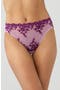  Lavender Sage/ Dark Purple