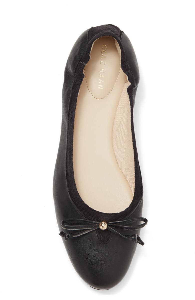 Cole Haan Keira Suede Ballet Flat, Alternate, color,
