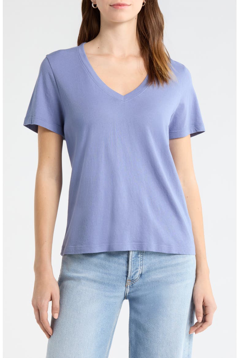 The Organic Cotton V-Neck Tee, Main, color, Steel Blue