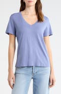 The Standard Stitch The Organic Cotton V-Neck Tee